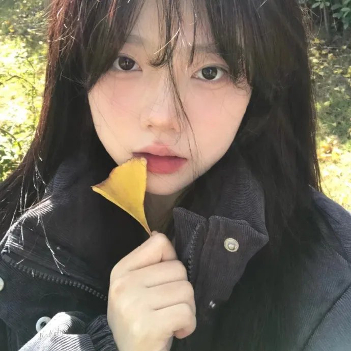 联邦调查局第三季